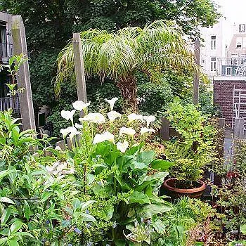 Frederik Park House Hotel Amsterdam
